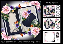 Open Book Flowers - Chrysanthemum Night & Day