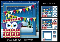 Christmas Owl - Surprise!
