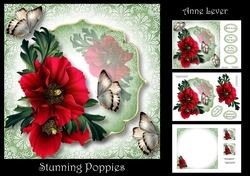 Stunning Poppies