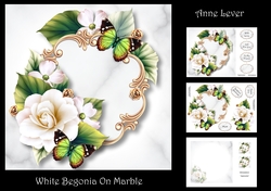 White Begonia On Marble