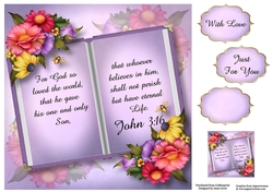 Psalm John 3:16 - Open Book 8x8