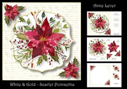 White & Gold - Scarlet Poinsettia