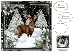 The Winter Stag 8x8