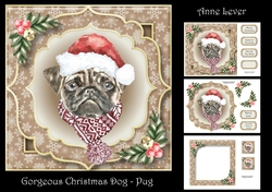 Gorgeous Christmas Dog - Pug