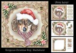 Gorgeous Christmas Dog - Dachshund