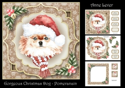 Gorgeous Christmas Dog - Pomeranian