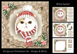 Gorgeous Christmas Cat - Ginger & White