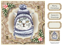 Gorgeous Christmas Cat - Grey Tabby 8x8