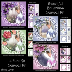 Beautiful Ballerinas Bumper Kit
