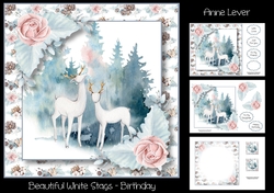 Beautiful White Stags - Birthday