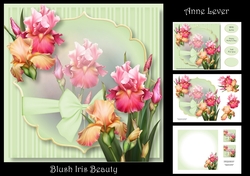 Blush Iris Beauty