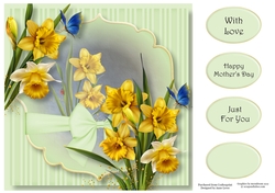 Daffodils Beauty 8x8