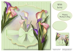 Calla Lily Beauty 8x8