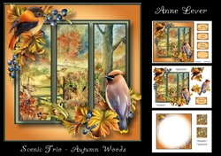 Scenic Trio - Autumn Woods