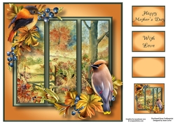 Scenic Trio - Autumn Woods 8x8