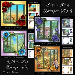 Scenic Trio Bumper Kit 4