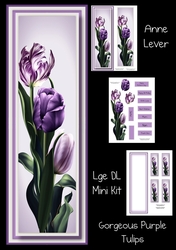 Gorgeous Purple Tulips Lge DL