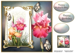Art Nouveau Blush Iris 8x8