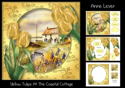 Yellow Tulips At The Coastal Cottage