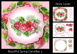 Beautiful Spring Camellias 2