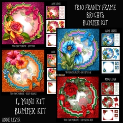 Trio Fancy Frame Brights Bumper Kit