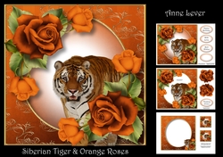 Siberian Tiger & Orange Roses