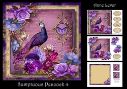 Sumptuous Peacock 4