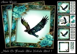 Male Or Female Blue Nebula Bird 1