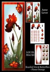 Bearded Iris & Butterflies - Flame Orange