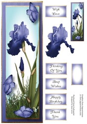 Lge DL Bearded Iris & Butterflies - Cornflower Blue