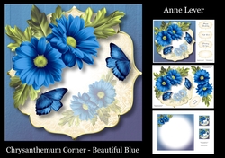 Chrysanthemum Corner - Beautiful Blue
