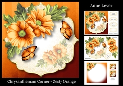 Chrysanthemum Corner - Zesty Orange