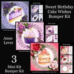 Sweet Birthday Cake Wishes Bumper Kit