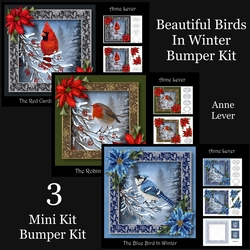 Beautiful Birds In Winter Bumper Kit