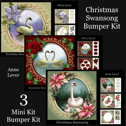 Christmas Swansong Bumper Kit