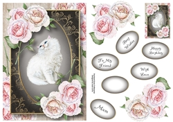 Pretty Persian Kitty A5
