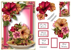 Teacup, Saucer & Flowers - Hibiscus A5