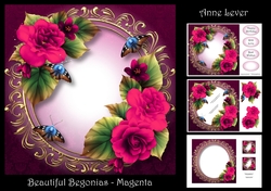 Beautiful Begonias - Magenta