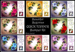Beautiful Begonias QUICK TOPPER Bumper Kit