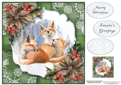 The Fox Family 8x8