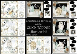 Christmas & Birthday Winter QUICK TOPPER Bumper Kit