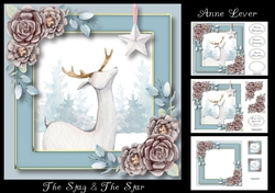 The Stag & The Star