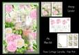 Rose Cottage Camellia - Pale Pink