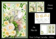 Rose Cottage Camellia - White