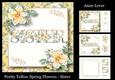 Pretty Yellow Spring Flowers - Sister