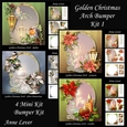 Golden Christmas Arch Bumper Kit 1