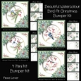 Beautiful Watercolour Bird At Christmas Bumper Kit