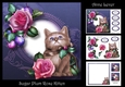 Sugar Plum Rose Kitten