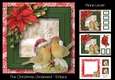 The Christmas Ornament - Robins