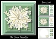 The Cream Poinsettia